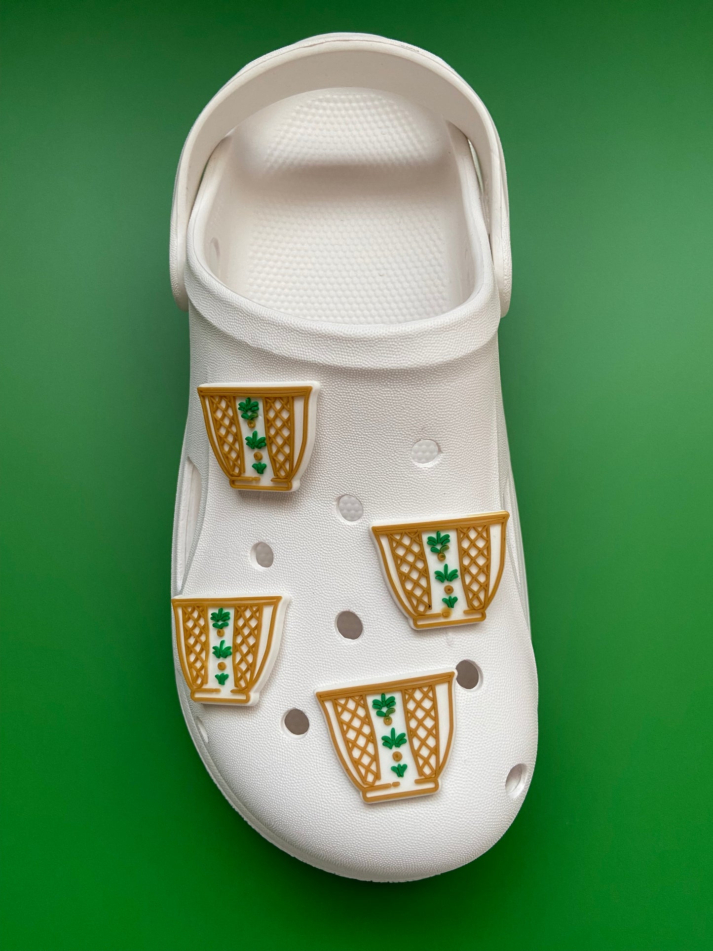 Finjan Charms