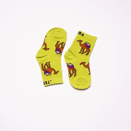 Camel kids Socks