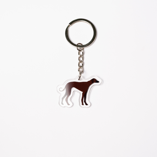 Sology Keychain